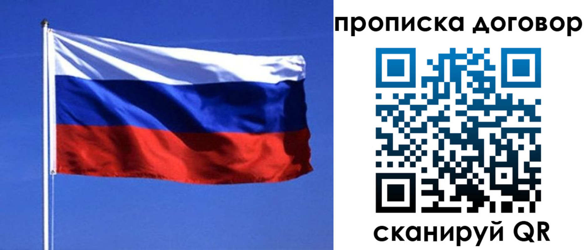 прописка поиск в Гаврилов-Яме
